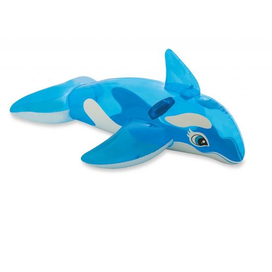 Intex Walvis