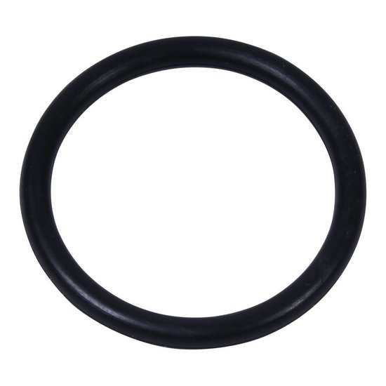 Intex O-ring voor slangaansluiting