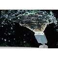 Intex LED zwembad sproeier