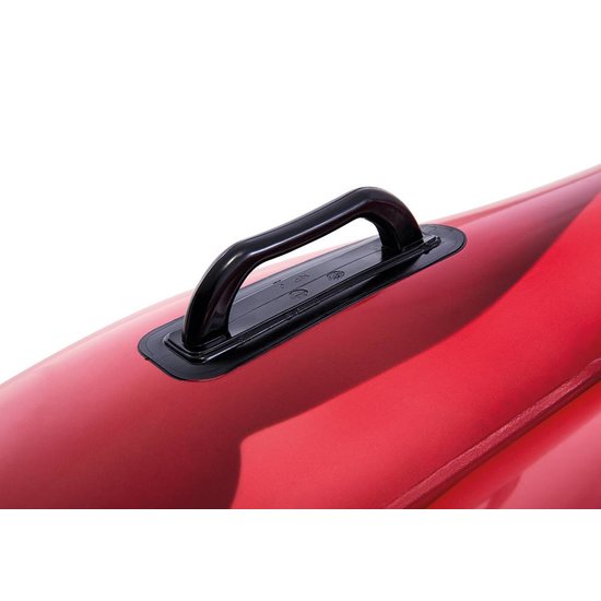 Intex Rode Roos Luchtbed