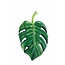 Intex Palmblad Luchtbed