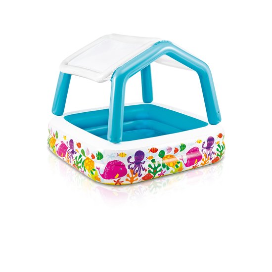 Intex Sun Shade Pool