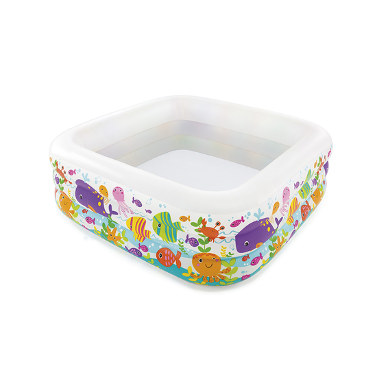 Intex Clearview Aquarium Pool