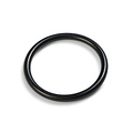 Intex ring voor pomp inlaat