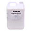 Interline Stoombadmelk Eucalyptus 5 liter