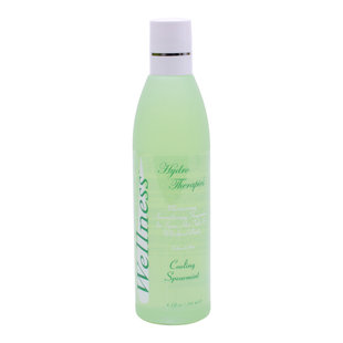 Wellness Spageur Spearmint 245 ml