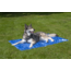 CoolPets Cooling Splash Premium Cooling Mat M (50x40 cm)