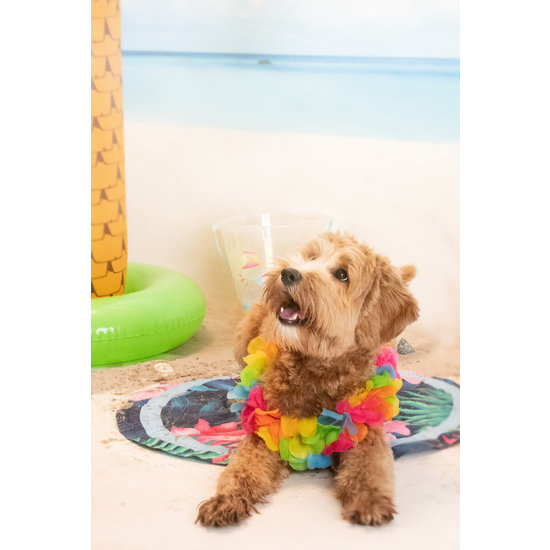 CoolPets Tropical Premium Cooling Mat