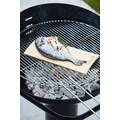 Barbecook set van 2 rookplanken elsenhout