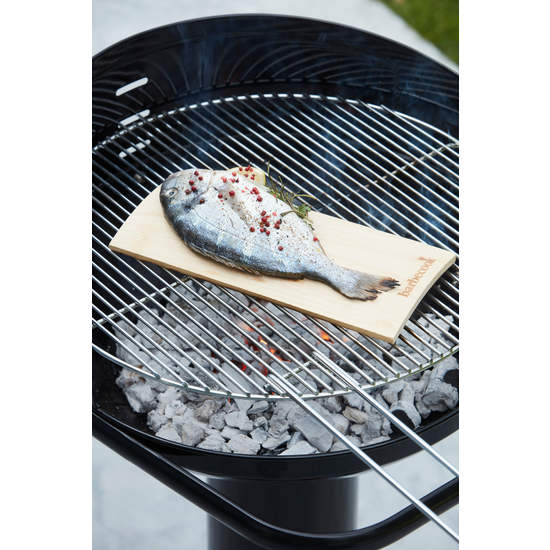 Barbecook set van 2 rookplanken elsenhout