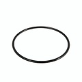 Bestway O-ring  voor Flowclear pompunit