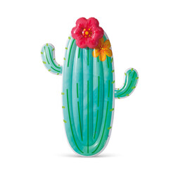 Luchtbed Cactus