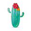 Intex Luchtbed Cactus