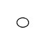 Bestway O-Ring (waterinlaat) 4,1 cm voor HydroJet Pro Whirlpool Spa's
