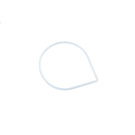 Bestway Bestway pompdeksel afdichtring voor Flowclear zandfilter