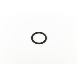 O-Ring (waterinlaat) 3,1 cm  voor HydroJet Pro Whirlpool Spa's