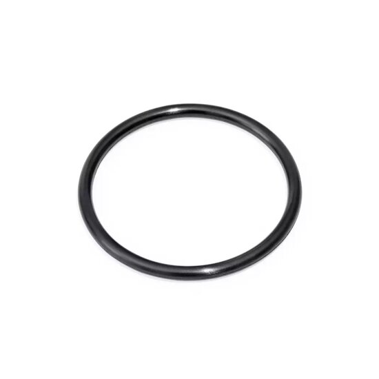 Lay-Z-Spa O-Ring (waterinlaat)  voor diverse UltraFit spa's