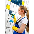 Gloria fijnsproeier CleanMaster 05 (0.5 liter)