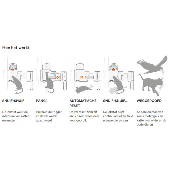 Goodnature® A24 automatische Ratten- & Muizenval set