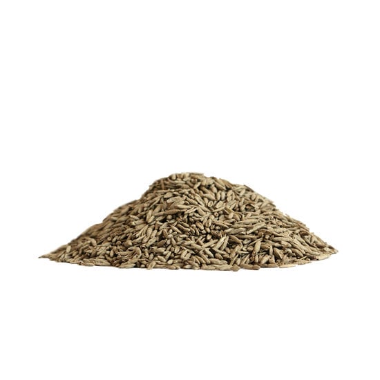 ECOstyle Professioneel Graszaad-Inzaai 15 kg (750 m²)