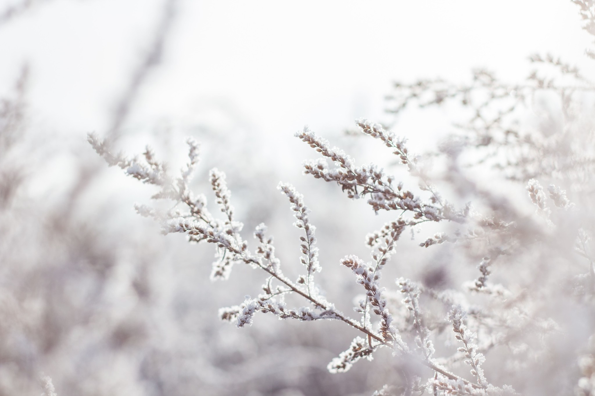 Bereid je tuin voor op de winter