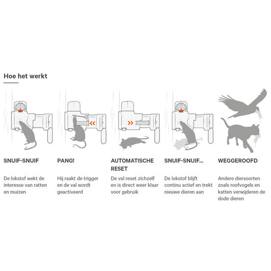 Goodnature® A24 Ratten- & Muizenval starter set