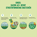 ECOstyle Gazon AZ+ met AZ kalk 4.5 kg (50 m²)