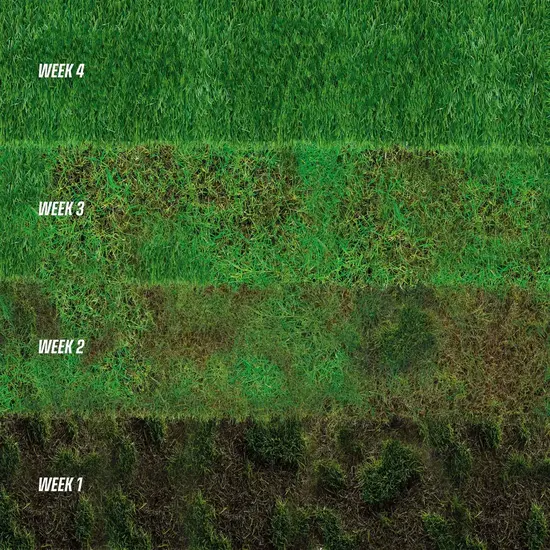 ECOstyle GazonMax 1 kg