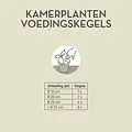 Pokon kamerplanten voedingskegels 10 stuks