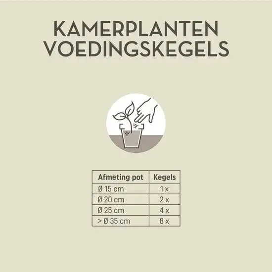Pokon kamerplanten voedingskegels 10 stuks
