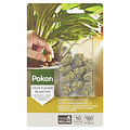 Pokon kamerplanten voedingskegels 10 stuks