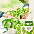 Pokon bio groene plantenvoeding 250ml