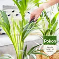 Pokon bio palmvoeding 250ml