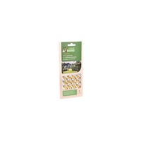 FoliseVital Bladinsecten 12 capsules
