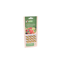FoliumVital Bladziekten 12 capsules