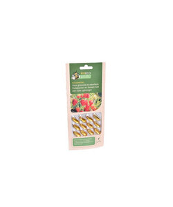 FoliumVital 12 capsules