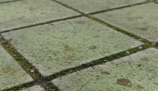 Hoe krijg je groene aanslag van je tegels? Wij hebben tips!