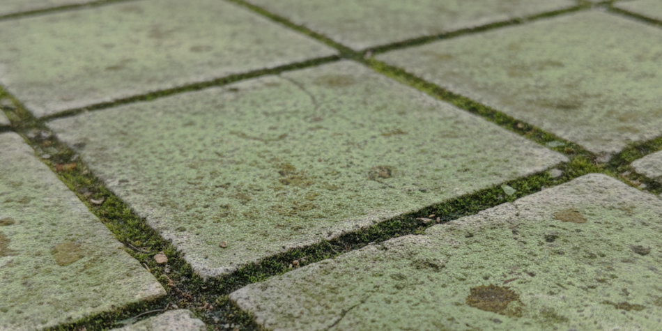 Hoe krijg je groene aanslag van je tegels? Wij hebben tips!