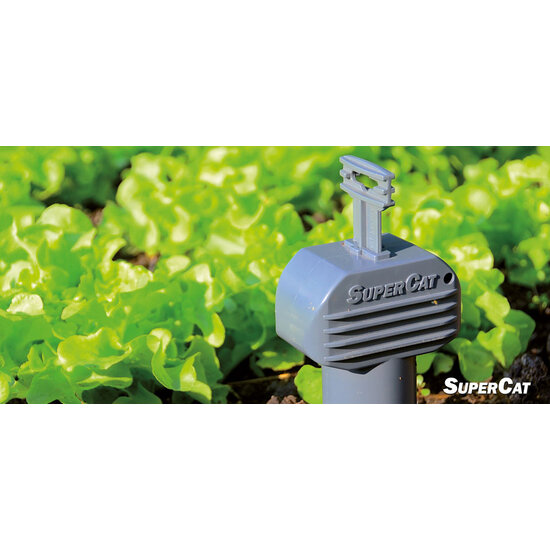 Swissinno Woelmuizenval SuperCat