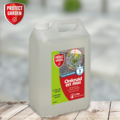 Protect Garden Flitser 3-in-1 spray tegen onkruid, groene aanslag en mos 5 liter