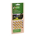 Pireco FoliseVital Bladinsecten 12 capsules