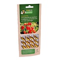 Pireco FoliumVital Bladziekten 12 capsules