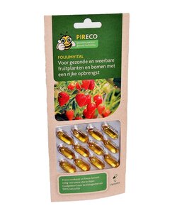 FoliumVital Bladziekten 12 capsules