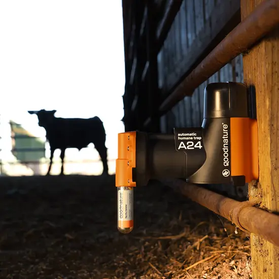 Goodnature® A24 Ratten- & Muizenval starter set