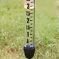 Esschert Kunststof regenmeter