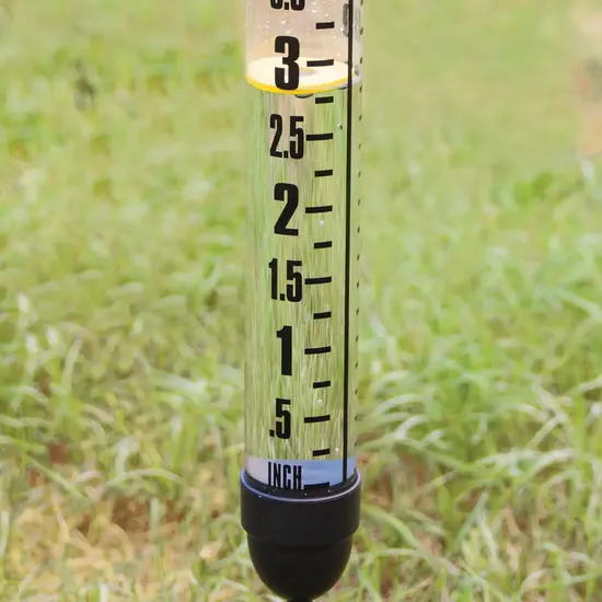 Esschert Kunststof regenmeter