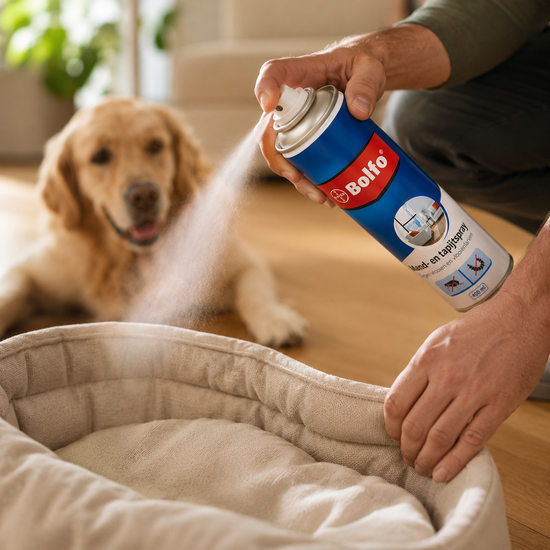Bolfo Mand- en Tapijtspray 400 ml | Vlooien bestrijden