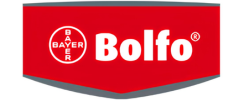Bolfo