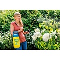 Gloria drukspuit Prima 3 (3 liter)