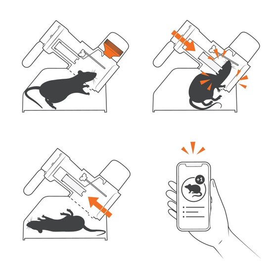 Goodnature® A24 automatische Ratten- & Muizenval set